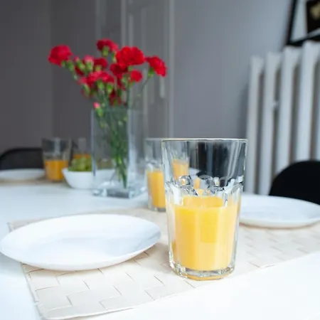 Apartman Roosevelta Centrum Łódź